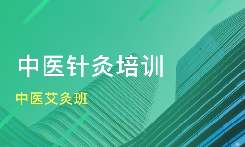 西安中醫(yī)針灸培訓班